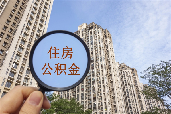 自费交公积金要交多少年_涉县公积金代办在职离职封存服务